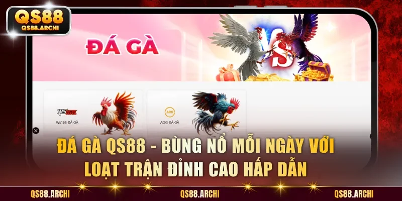 Đá Gà QS88 - Bùng Nổ Mỗi Ngày Với Loạt Trận Đỉnh Cao Hấp Dẫn